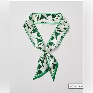 Ann Taylor skinny Silk Scarf